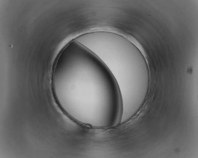 X0000093251005200709261552