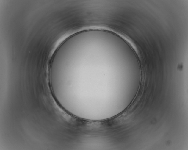 X0000093251006200709261552