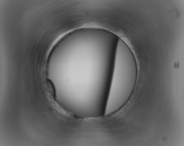 X0000093251008200709261552