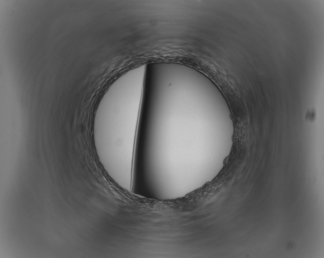 X0000093251009200709261552