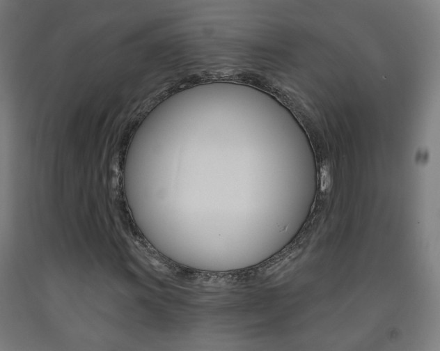 X0000093251011200709261552