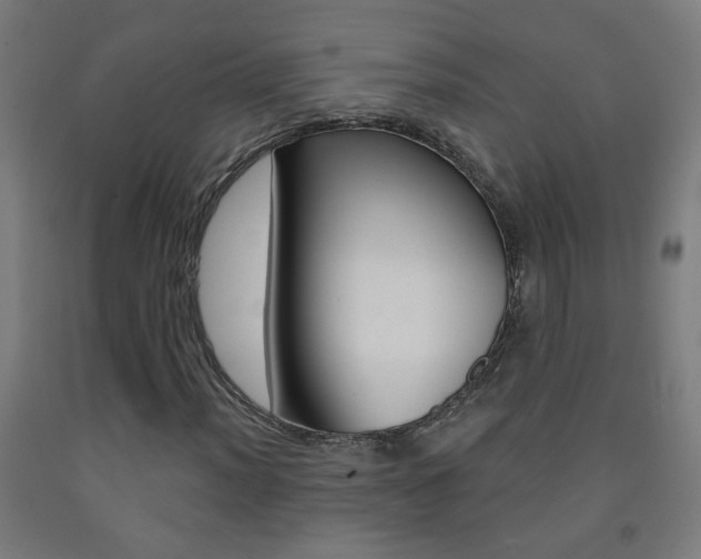 X0000093251012200709261552