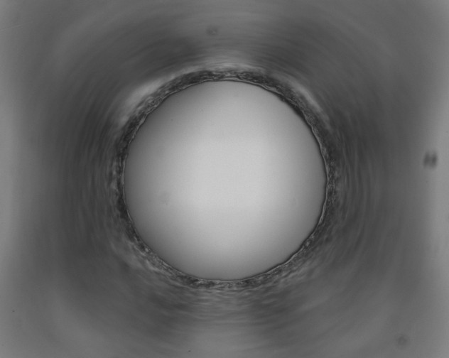 X0000093251016200709261552