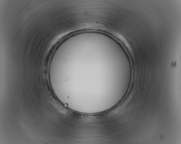 X0000093251019200709261552