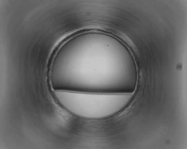 X0000093251020200709261552