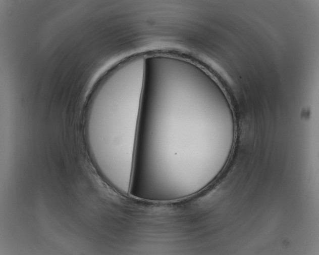 X0000093251021200709261552