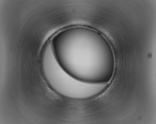 X0000093251022200709261552