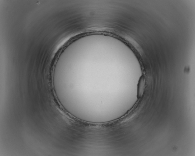 X0000093251023200709261552