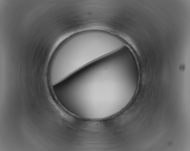 X0000093251024200709261552