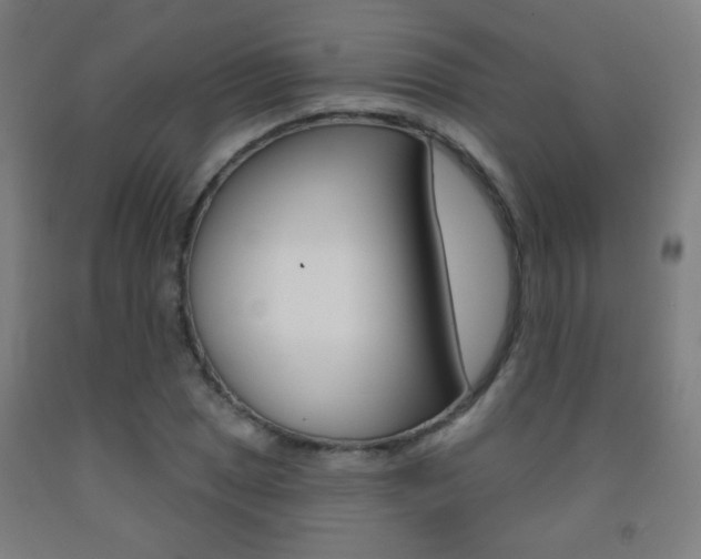 X0000093251025200709261552