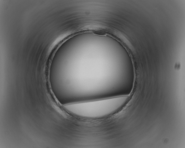 X0000093251026200709261552