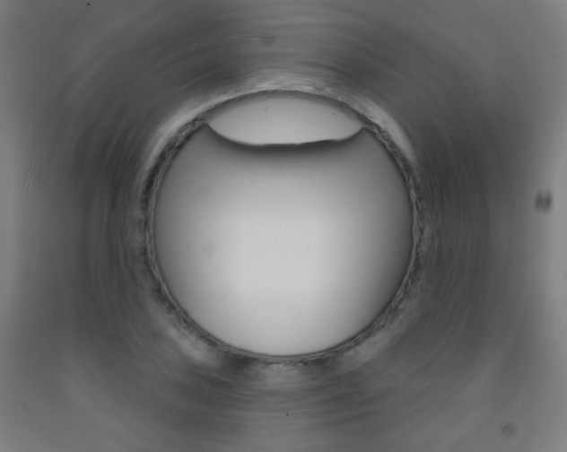 X0000093251027200709261552