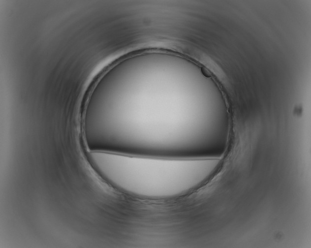 X0000093251028200709261552