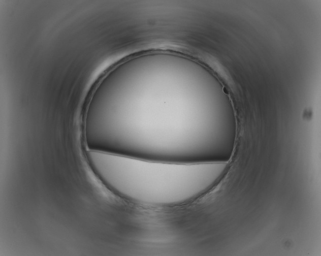 X0000093251032200709261552