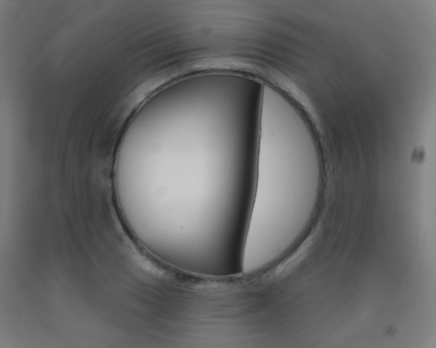 X0000093251033200709261552