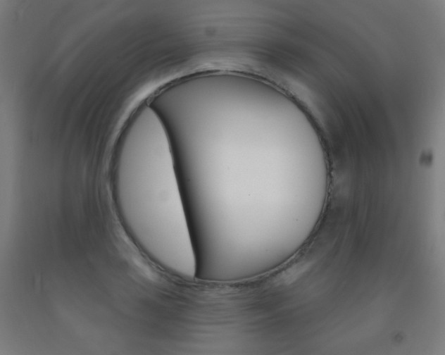 X0000093251035200709261552