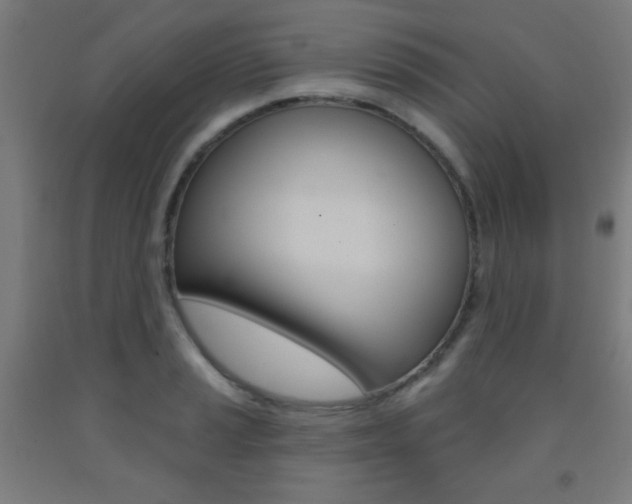 X0000093251037200709261552