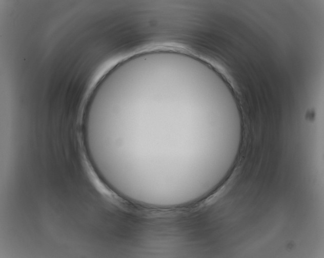 X0000093251038200709261552