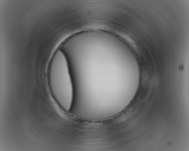 X0000093251039200709261552
