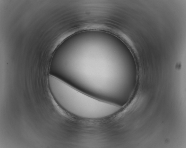 X0000093251041200709261552