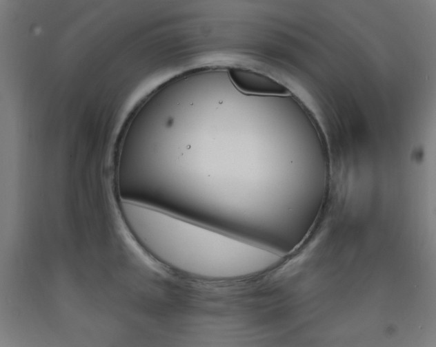 X0000093251045200709261552