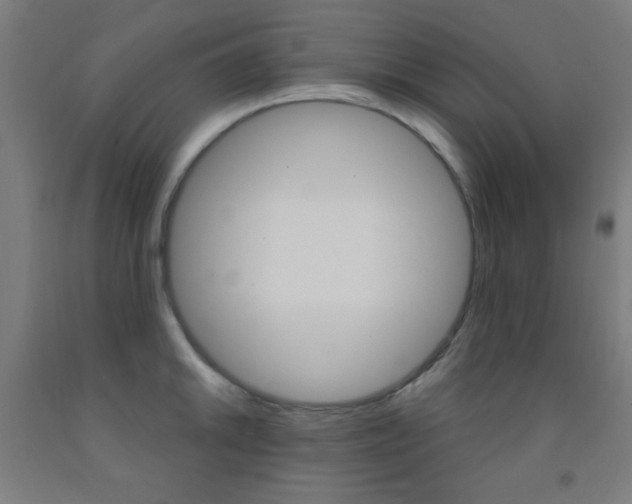X0000093251046200709261552