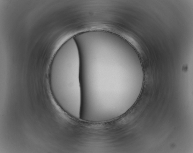 X0000093251047200709261552