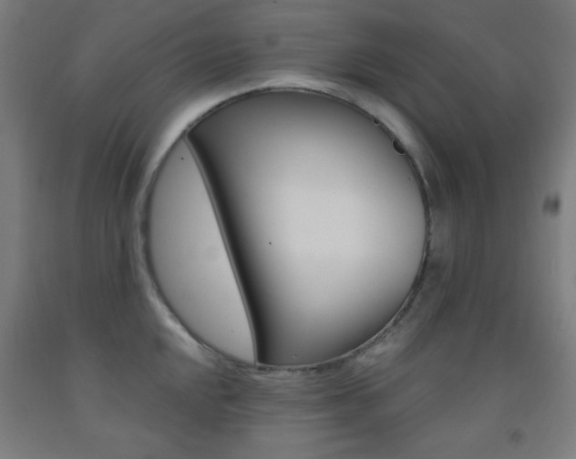 X0000093251048200709261552