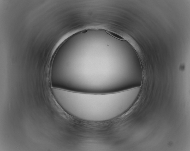 X0000093251052200709261552