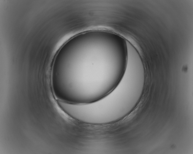 X0000093251054200709261552