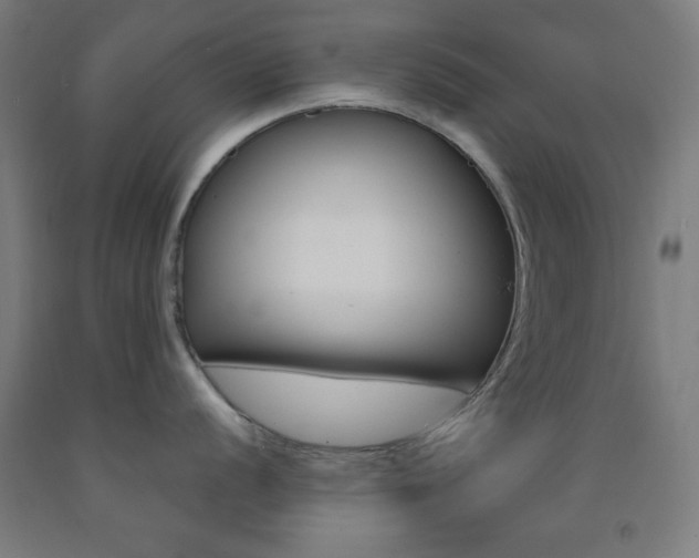 X0000093251056200709261552