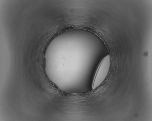 X0000093251057200709261552