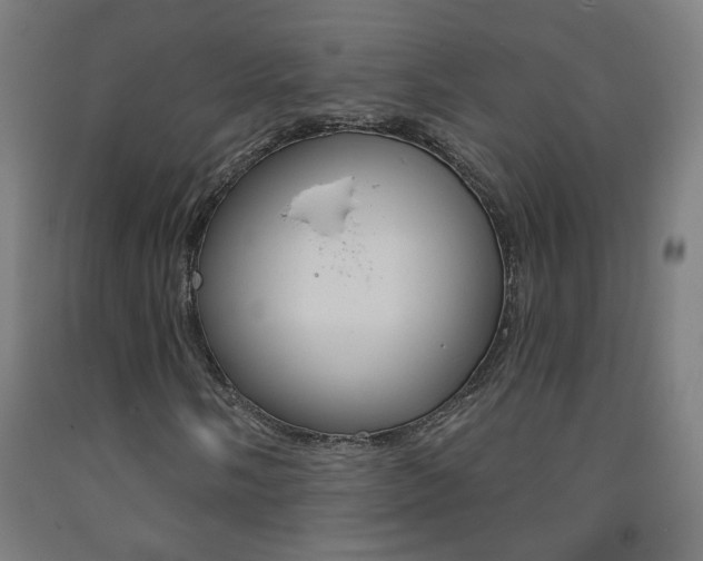 X0000093251058200709261552