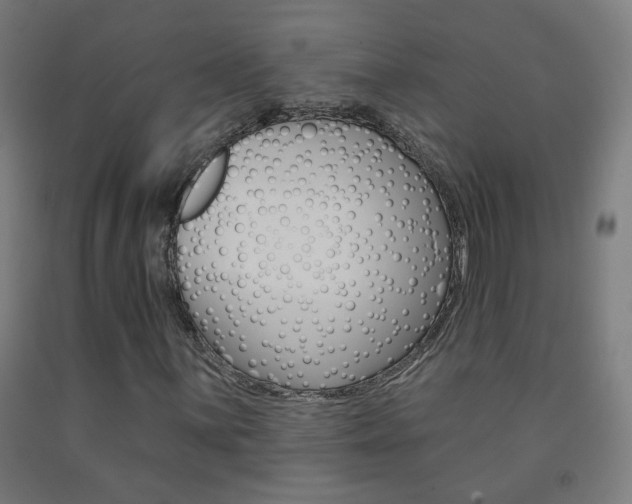 X0000093251059200709261552