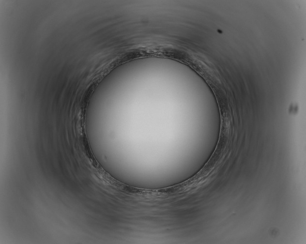 X0000093251060200709261552