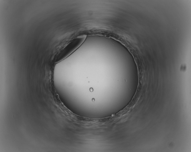 X0000093251061200709261552