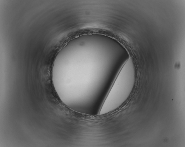 X0000093251062200709261552