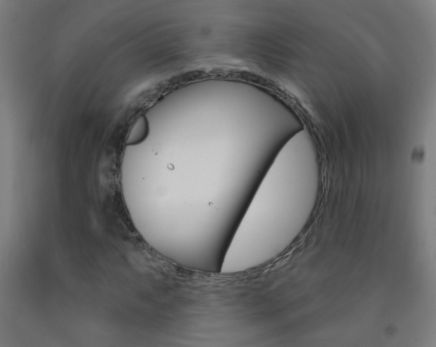 X0000093251063200709261552