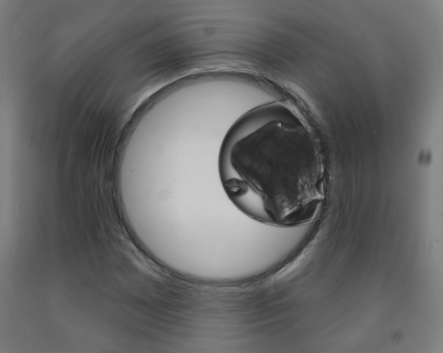 X0000093251065200709261552
