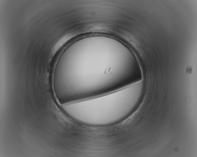 X0000093251066200709261552