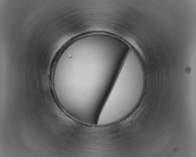 X0000093251068200709261552