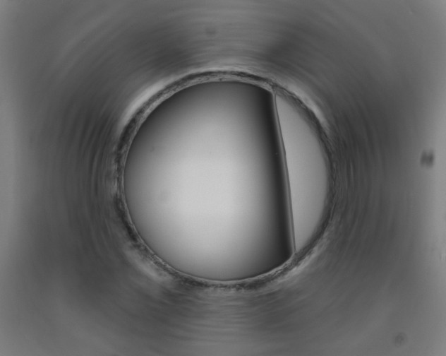 X0000093251069200709261552