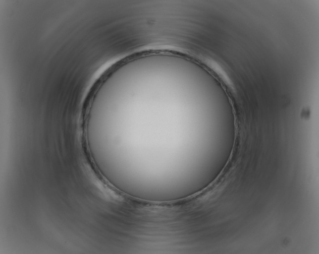 X0000093251076200709261551