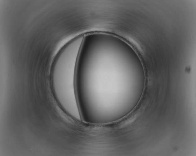 X0000093251077200709261551