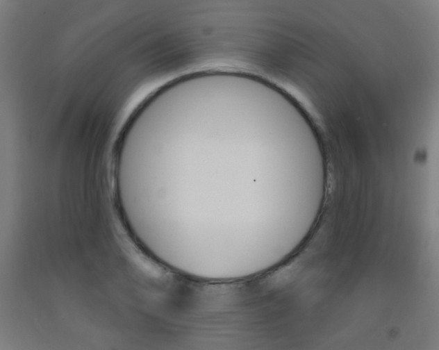 X0000093251078200709261551