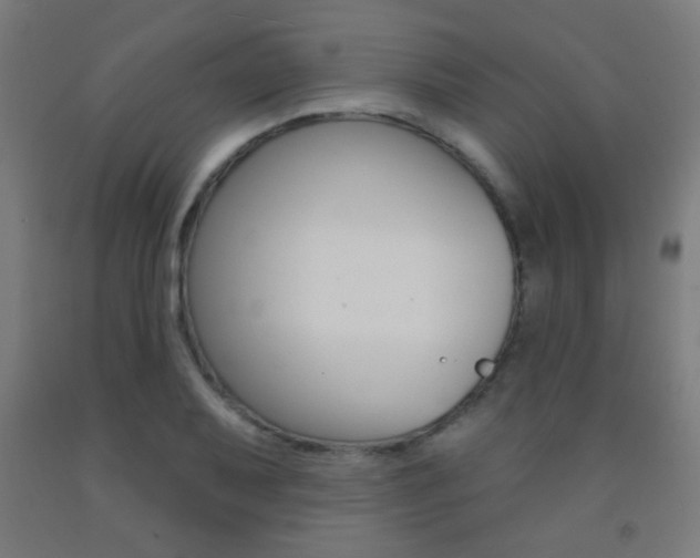 X0000093251079200709261551