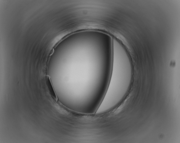 X0000093251081200709261551