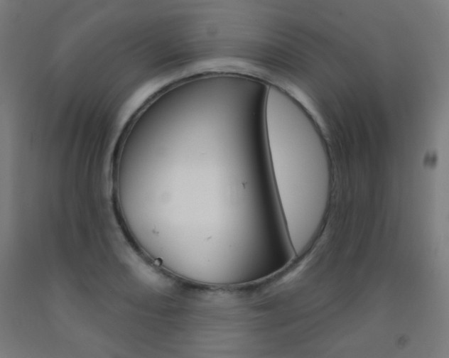 X0000093251082200709261551