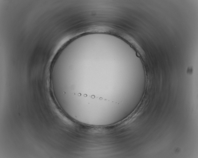 X0000093251083200709261551