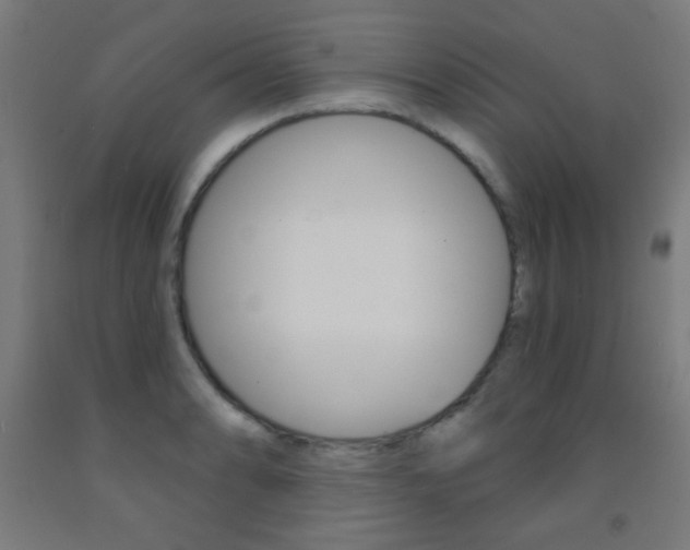 X0000093251086200709261551